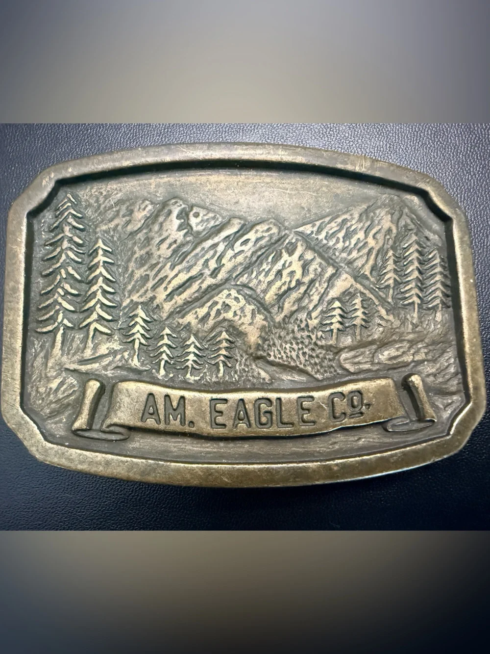 Vintage AM. EAGLE CO. Solid Brass Wilderness Belt Buckle